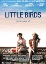 Little Birds (2011)