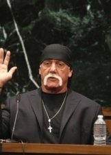 Nobody Speak: Hulk Hogan, Gawker and Trials of a Free Press (2017)