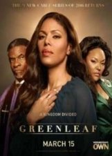 Greenleaf (2016-2017) TV Series