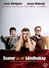 Scenes from a Celebrity Life / Scener ur ett kändisskap (2009)