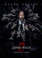 John Wick: Chapter 2 (2017)