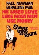 Το γλυκό πουλί της νιότης / Sweet Bird of Youth (1962)