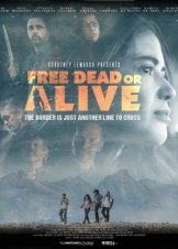 Free Dead or Alive (2022)