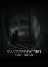 Paranormal Witness (2011)