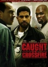 Caught in the Crossfire (2010)