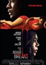 When the Bough Breaks (2016)