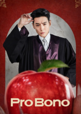 Pro Bono / Δωρεάν Υπεράσπιση (2025)
