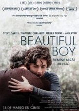 Beautiful Boy / Ένα Όμορφο Αγόρι (2018)