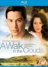 A Walk in the Clouds (1995)