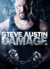 Damage 2009