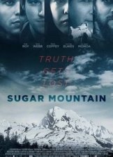 Sugar Mountain (2016)