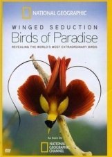 Winged Seduction: Birds of Paradise (2012)