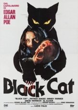 Η μαύρη γάτα / The Black Cat / Gatto nero (1981)
