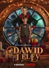 Ο Ντάβιντ και τα Ξωτικά / David and the Elves / Dawid i Elfy (2021)