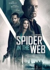 Δίκτυο Κατασκόπων / Spider in the Web (2019)