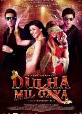 Dulha Mil Gaya (2010)