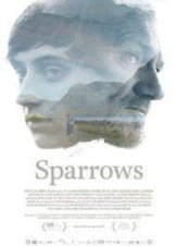 Sparrows 2015