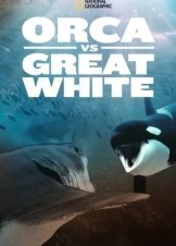 Shark vs. Whale (2020)