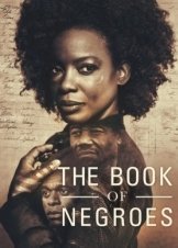 The Book of Negroes (2015)