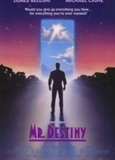Mr Destiny (1990)