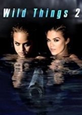 Wild Things 2 (2004)