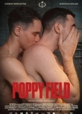 Χωράφι με παπαρούνες / Poppy Field / Câmp de maci (2020)