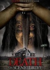 Death on Scenic Drive (2017)