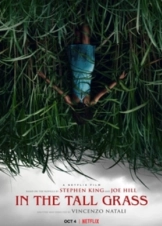 Στα Ψηλά Χορτάρια / In the Tall Grass (2019)