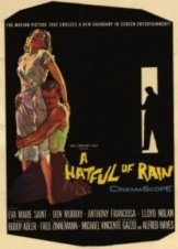 A Hatful Of Rain (1957)