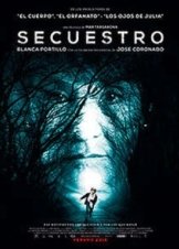 Boy Missing / Secuestro (2016)