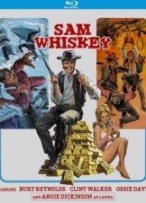 Sam Whiskey (1969)