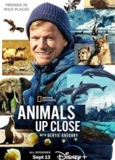 Animals Up Close with Bertie Gregory (2023)
