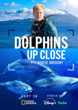 Dolphins Up Close with Bertie Gregory (2025)