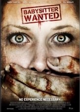 Babysitter Wanted (2008)