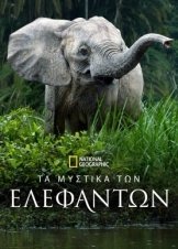 Secrets of the Elephants / Τα Μυστικά των Ελεφάντων (2023)