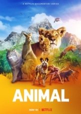 Animal (2021)