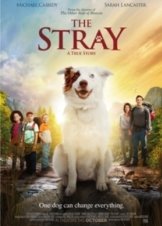 The Stray (2017)