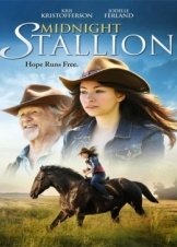 Midnight Stallion (2013)