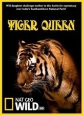 Tiger Queen/βασίλισσα τίγρη