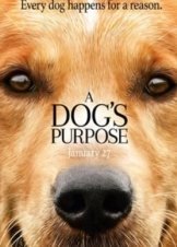 A Dog's Purpose (2017)