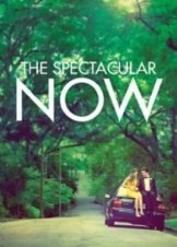 The Spectacular Now (2013)
