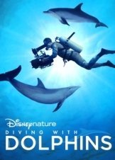 Diving with Dolphins / Discovering the Reef (2020)