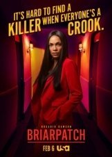 Briarpatch (2019)