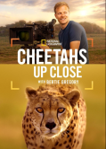 Γατόπαρδοι από Κοντά με τον Μπέρτι Γκρέγκορι / Cheetahs Up Close with Bertie Gregory (2026)