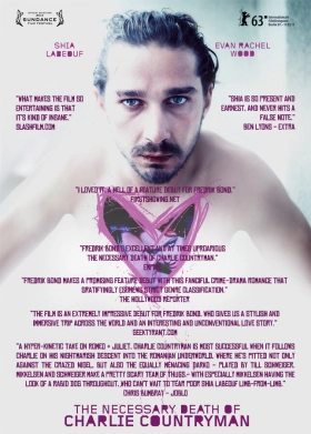 The Necessary Death of Charlie Countryman (2013)