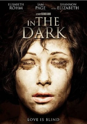 In The Dark (2013)