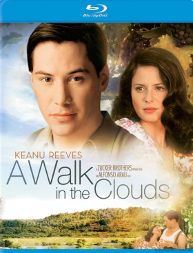 A Walk in the Clouds (1995)