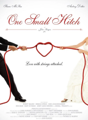 One Small Hitch (2013)