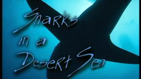Ο μεγάλος Λευκός καρχαρίας / Sharks in a Desert Sea (1999)