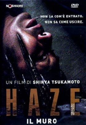 Haze (2005)